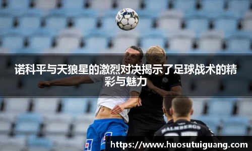 诺科平与天狼星的激烈对决揭示了足球战术的精彩与魅力